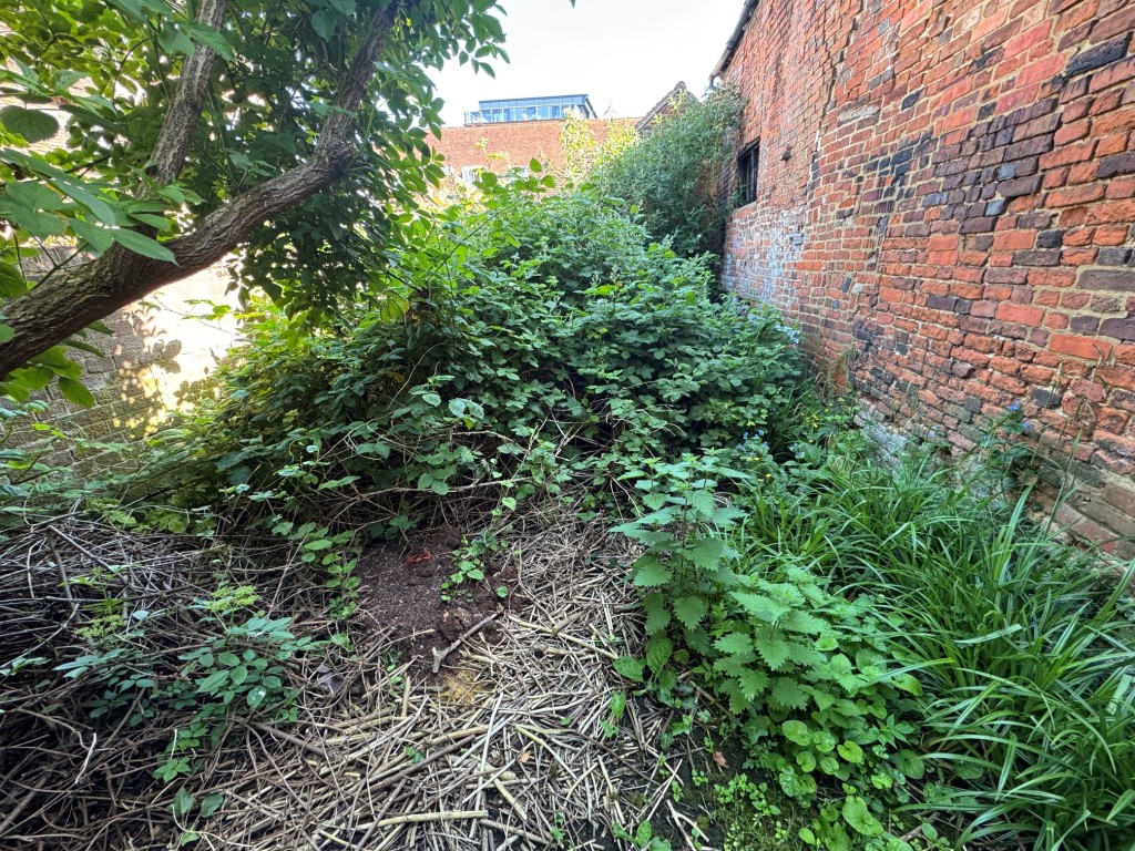 Lot: 97 - BARN WITHIN CITY WALLS WITH PLANNING APPLICATION SUBMITTED FOR CONVERSION - The garden